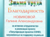 Участие в проекте "Популяризация проектов СОНКО, направленных на поддержку социально незащищенных граждан"